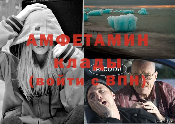 ПСИЛОЦИБИНОВЫЕ ГРИБЫ Гусиноозёрск