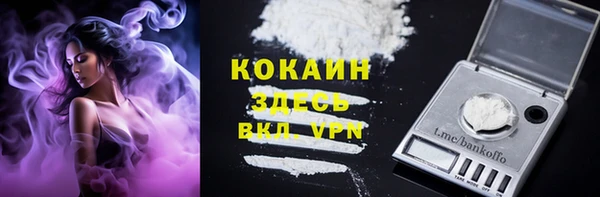 ПСИЛОЦИБИНОВЫЕ ГРИБЫ Гусиноозёрск