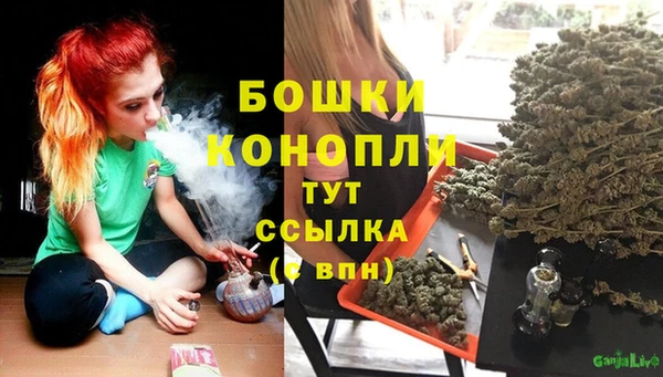 ПСИЛОЦИБИНОВЫЕ ГРИБЫ Гусиноозёрск