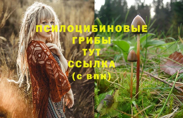 мдма Гусь-Хрустальный
