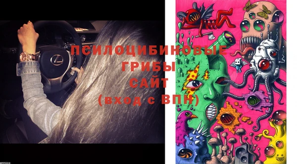 мдма Гусь-Хрустальный