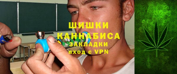 ПСИЛОЦИБИНОВЫЕ ГРИБЫ Гусиноозёрск