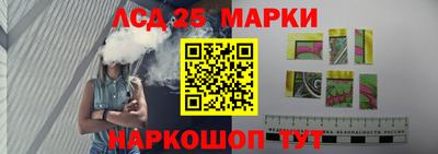 прущие грибы Дубна