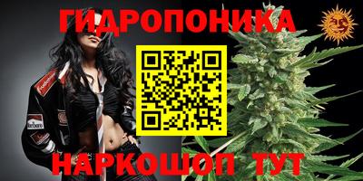 прущие грибы Дубна