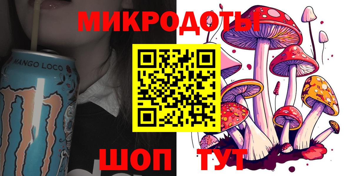 Галлюциногенные грибы Psilocybe Минусинск